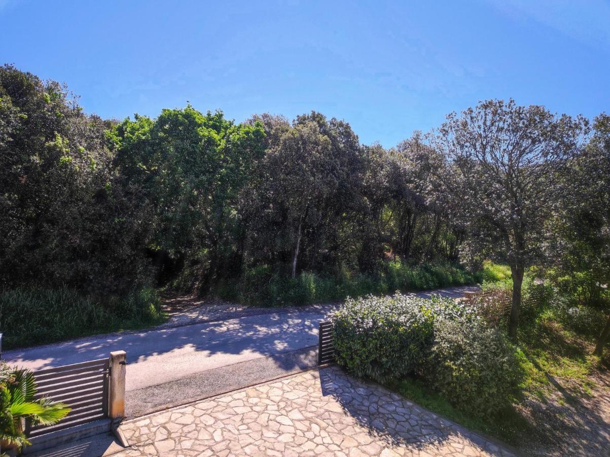 PUY Apartments Tina Stinjan מראה חיצוני תמונה